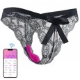 The Ugly Truth Remote Control Vibrating Panties