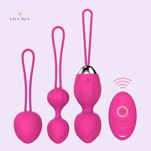 Remote Control Vibrator Sex Toys for Women Vaginal 10 Speed USB ...