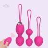 Remote Control Vibrator Sex Toys for Women Vaginal 10 Speed USB Rechargeable Love toy