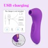 Clitoris sucking Vibrator For Women Masturbator