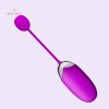 App-Controlled Vibrator Mini Bullet Clitoral Stimulator India Sex Toys For Girls