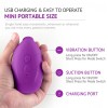 Bird Portable Clitoral Sucking Vibrator Vibrating Egg With 10 Vibration Patterns