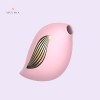 Bird Portable Clitoral Sucking Vibrator Vibrating Egg With 10 Vibration Patterns