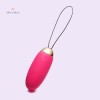 Bullet Egg Remote Controlled Waterproof Vibrating Elva Sex Toys India