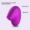 Clitoral Sucking Vibrator G Spot Clit Vibrators Rechargeable