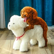 Dog Masturbators Silicone Realistic Sex Animal Toy India