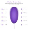 Egg Vibrator G Spot 10 Frequency Vibrations Remote Control 