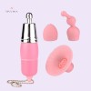 Female Vibrator Multispeed G-Spot Clit Stimulate Massager Adult Sex Toys India