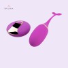 Fish Shape Wireless Egg Vibrator With Remote
