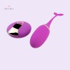 Fish Shape Wireless Egg Vibrator With Remote