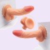 Jelly Dildo Dong Cock with Balls & Suction Cup Sexy Toy Female