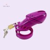 Male Chastity Devices Plastic Male Penis Cock Cage India