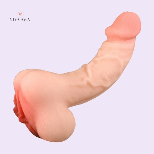 penis and dildo in vaginas