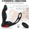 Vibrating Prostate Massager Remote Control Cock Ring And Ball Loop 9 Speeds Rechargeable India Anal Sex Toy