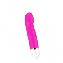 Bini G-Spot Vibrator 10 Vibrating Functions