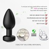 Anal Vibrator For Men & Women with Wireless Remote Control