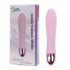 12 Frequency Clitoris Dildo USB Rechargeable Purple Pink Vibrator