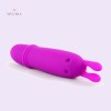 Small Vibrator For Woman India Clitoral Vibrator 10 Function Adult Toys Online