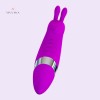 Small Vibrator India Clitoral Vibrator Rabbit Sex Toys For Women 10 Function