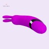 Small Vibrator India Clitoral Vibrator Rabbit Sex Toys For Women 10 Function