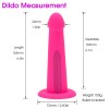 Strap On Vibrator Dildo India Lesbian Toy Panty Harness Pegging Anal Plug Dildo Sex Toys