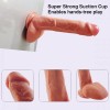 9.8 Inch Ultra Realistic Dual-Density with Balls Liquid Silicone Suction Cup Dildo