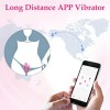 Remote Control Couple Vibrator with APP Control