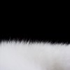 Real Fox Fur Tail Small Butt Plug