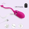 Vibrating Egg Bullet Wireless Remote Control Vibrator Sex Toys For Women Couples India