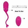 Vibrating Egg Bullet Wireless Remote Control Vibrator Sex Toys For Women Couples India