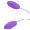 Vibrating Egg G Spot Stimulator USB Double Bullet Vagina Anal Vibrator Masturbator