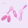 Vibrating Egg G Spot Stimulator USB Double Bullet Vagina Anal Vibrator Masturbator