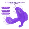 Wearable Dildo Vibrators Wireless Remote Control G-spot Heating 10 Kinds Vibration Female Sex Toy