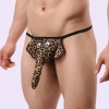 Elephant Nose Men Thongs Male Lingerie India