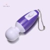 Mini Vibe Wand Massager