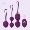 Remote Control Toys Online India Sexy Female Vibrating Egg Wireless