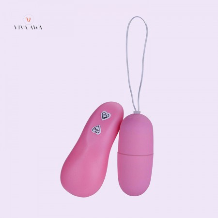 Remote Control Vibrator Egg Bullet Clitoral Massager