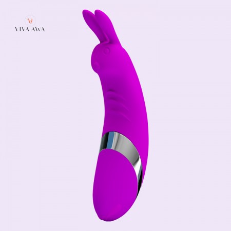 Small Vibrator India Clitoral Vibrator Rabbit Sex Toys For Women 10 Function