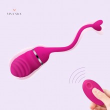 Vibrating Egg Bullet Wireless Remote Control Vibrator Sex Toys For Women Couples India